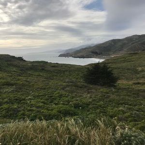 Meet your Posher, Angelica roberto